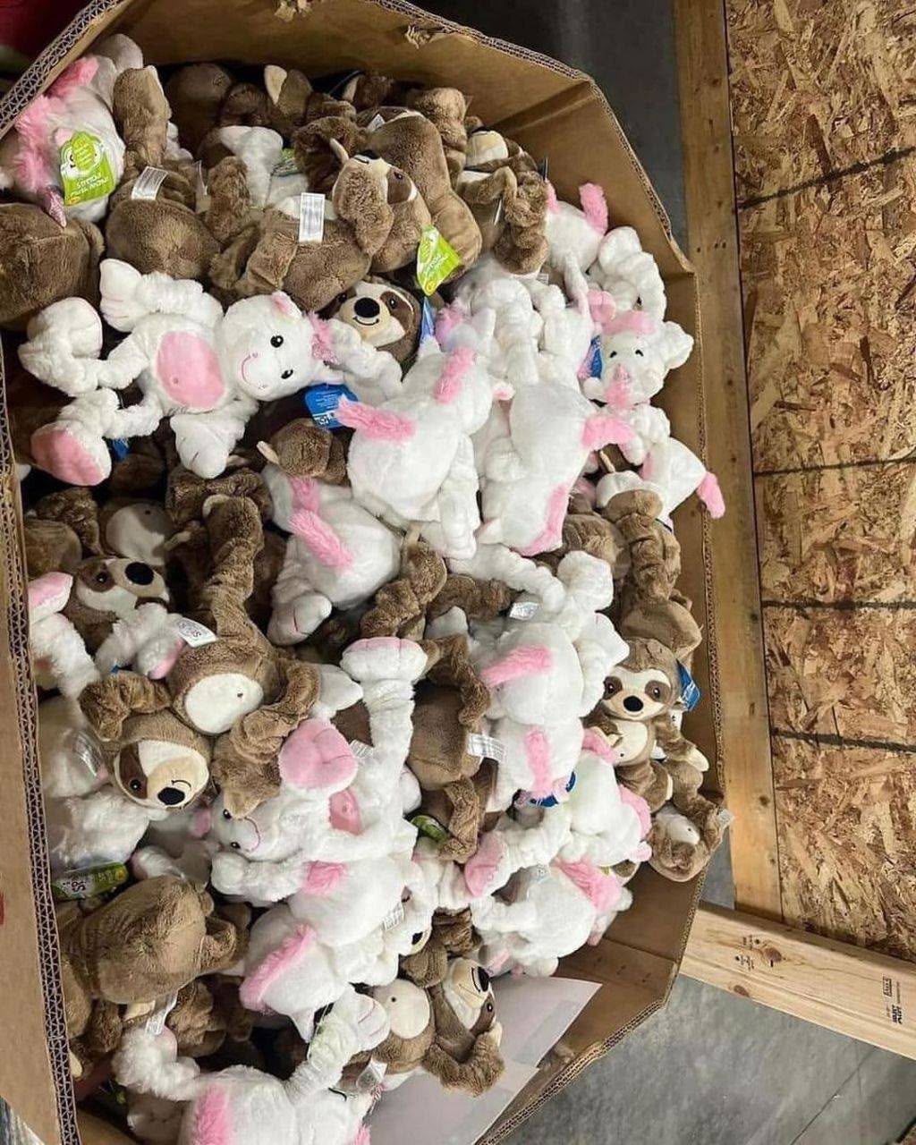Teddy Bear Pallets Available Teddy Bear Pallets Available