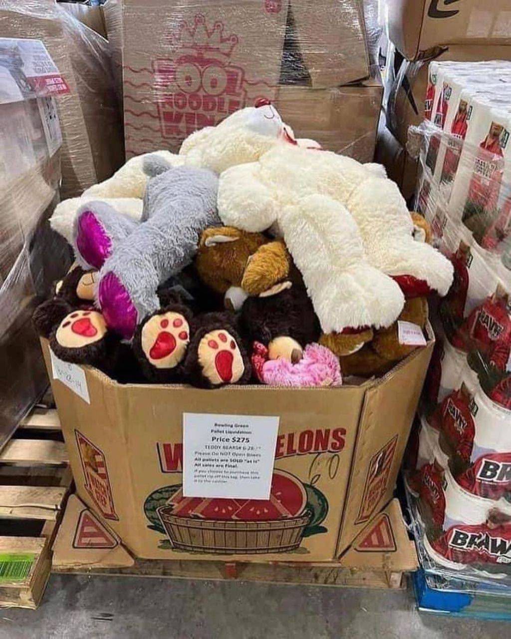 beer1.jpg
